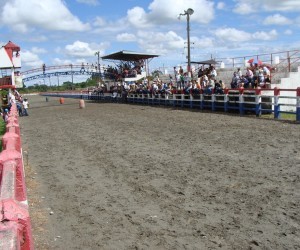 Coleo Runway San Martin Source  sanmartin meta gov co